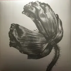 Release
