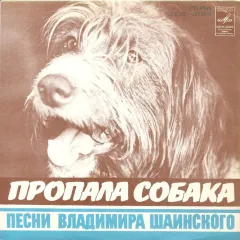 Пропала Собака (7 Дюймов)