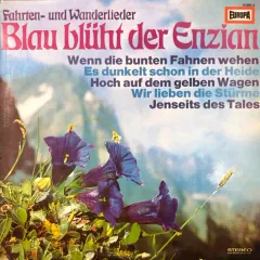 Blau Blüht Der Enzian