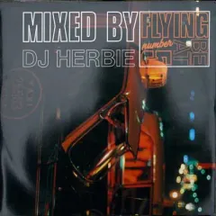 Flying Beat 5