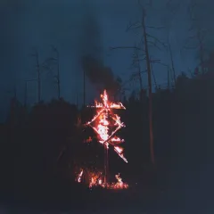 Зверь NM (Цветной винил)