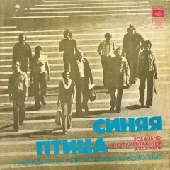 Синяя Птица. Вокально-Инструментальный Ансамбль
