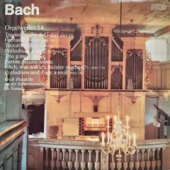 Orgelwerke 14 (Triosonate Nr.6 G-dur BWV 530 / Fantasie C-dur BWV 573 / Toccata E-dur BWV 566 / Praludium A-moll BWV 569 / Trio G-moll BWV 584 / Partite Diverse Sopra: Ach, Was Soll Ich Sunder Machen? BWV770 / Praludium Und Fuge A-moll BWV 551) (Erich