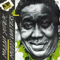 Muddy Waters