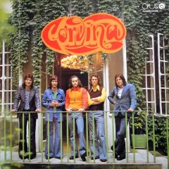 Corvina