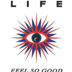 Feel So Good