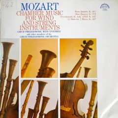 Chamber Music For Wind And String Instruments