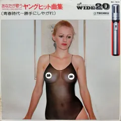 あなたか歌う ヤンクヒット曲集
