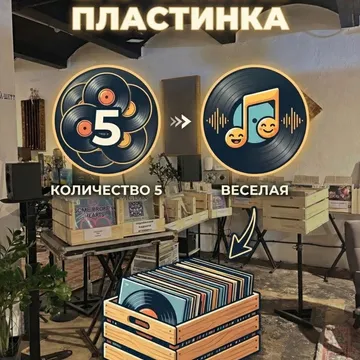 Комплект из 5-ти случайных виниловых пластинок. Особенность: Веселая