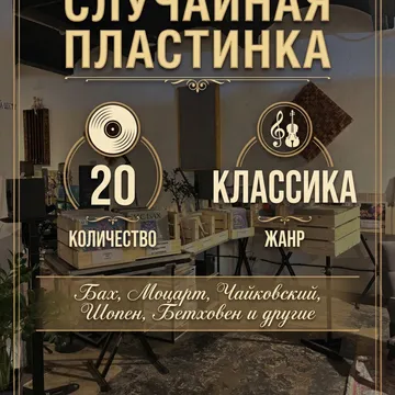 Комплект из 20-ти случайных виниловых пластинок. Жанр: Классика