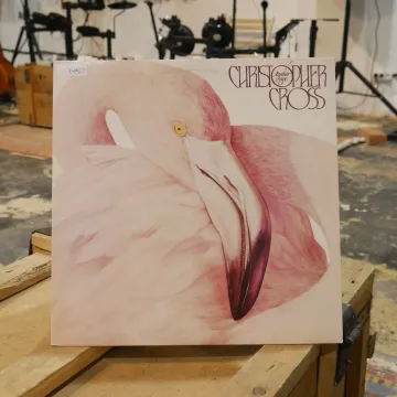 Christopher Cross — Another Page