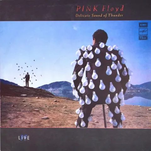Pink Floyd - Delicate Sound Of Thunder 2LP EX-